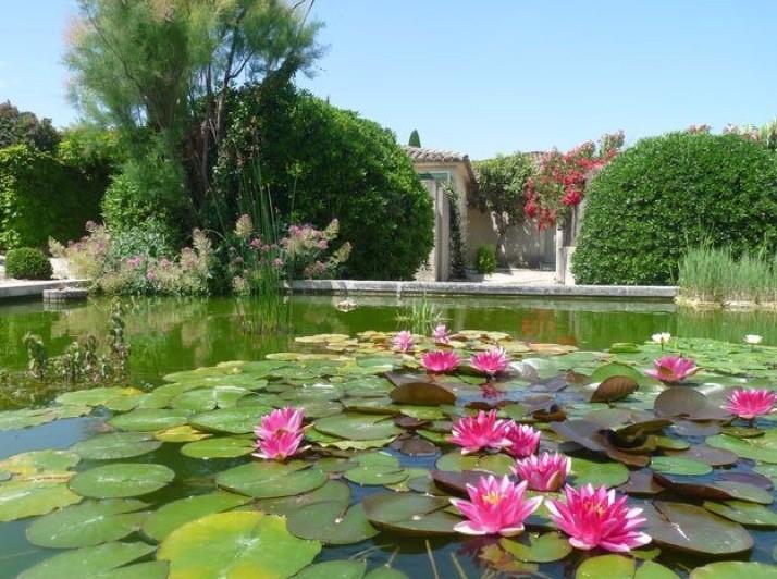 Saint-Rémy-de-Provence Le Mazet 40ヴィラ エクステリア 写真