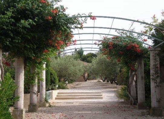 Saint-Rémy-de-Provence Le Mazet 40ヴィラ エクステリア 写真