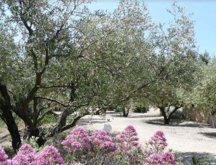 Saint-Rémy-de-Provence Le Mazet 40ヴィラ エクステリア 写真
