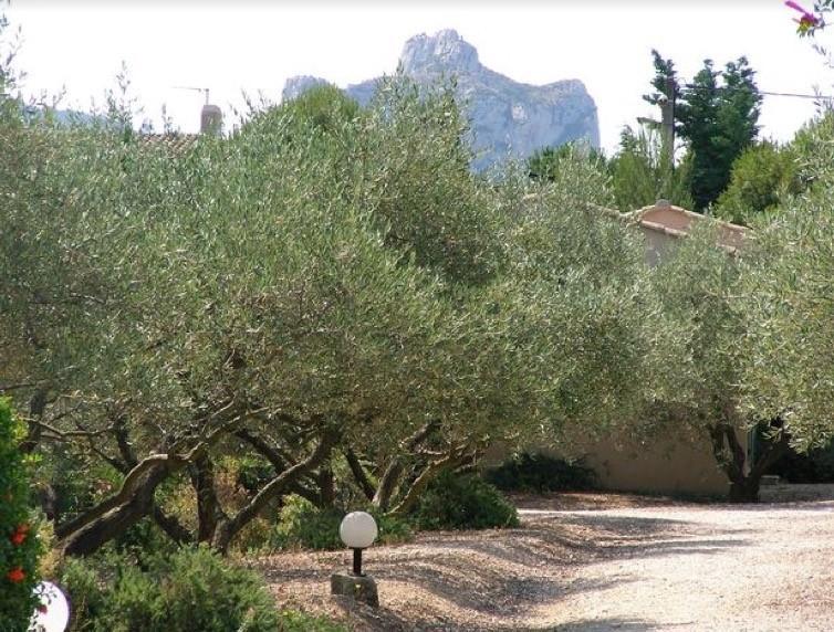 Saint-Rémy-de-Provence Le Mazet 40ヴィラ エクステリア 写真